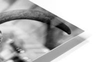 long horn of a texas longhorn  square 2129 Horn 1 HD Metal print