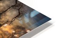 SPANISH MOSS HD Metal print