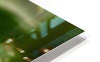 Little Glass HD Metal print