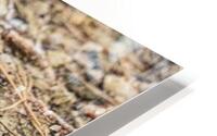 One More HD Metal print