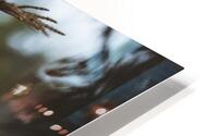  VOP5728 HD Metal print