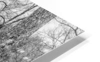 Stone Arched Bridge Reflections Grayscale HD Metal print