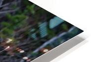 One Huge Momma  HD Metal print