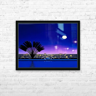 アート・デザイン・音楽 NINE SWIMMING POOLS / Takashi Homma アート・デザイン・音楽 NINE SWIMMING POOLS / Takashi Homma s