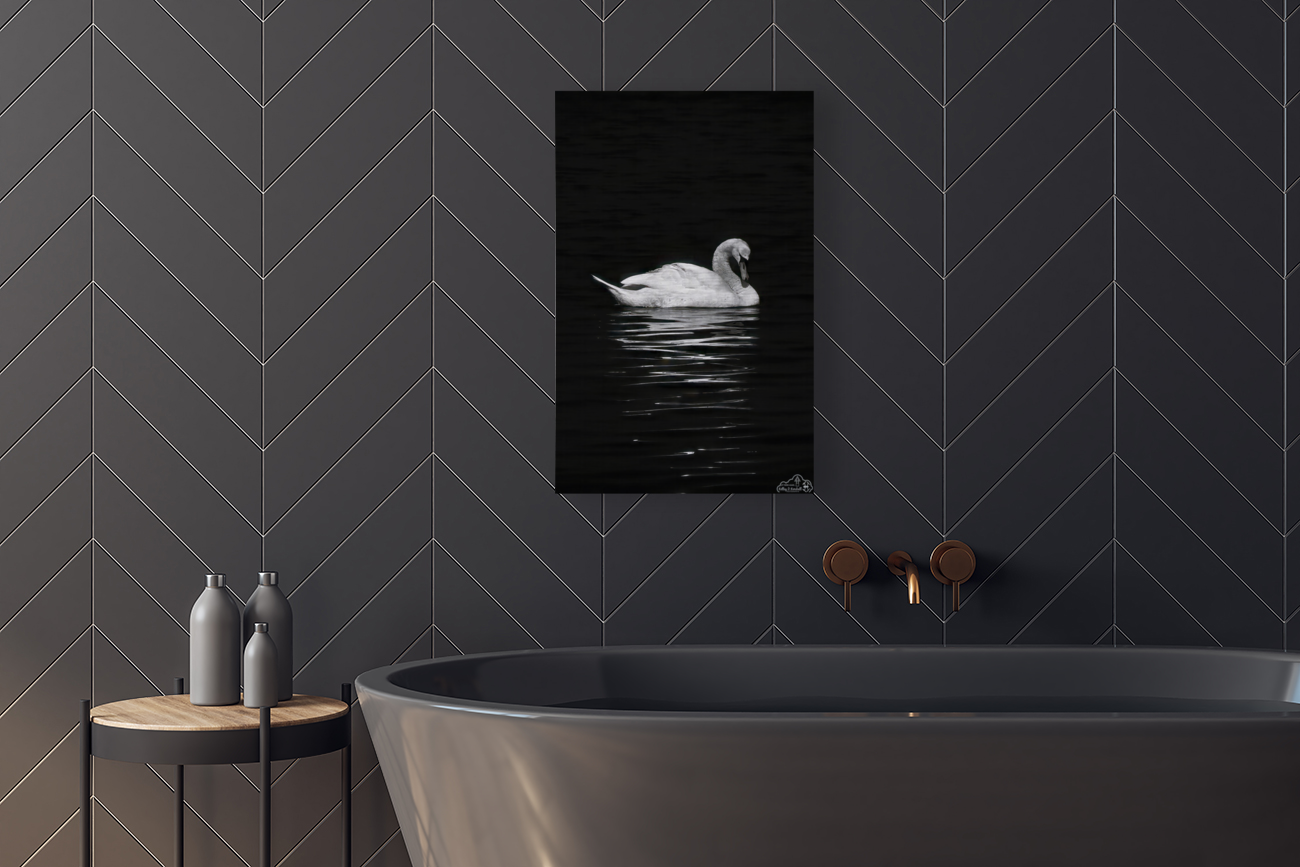 Trumpeter Serenity Art