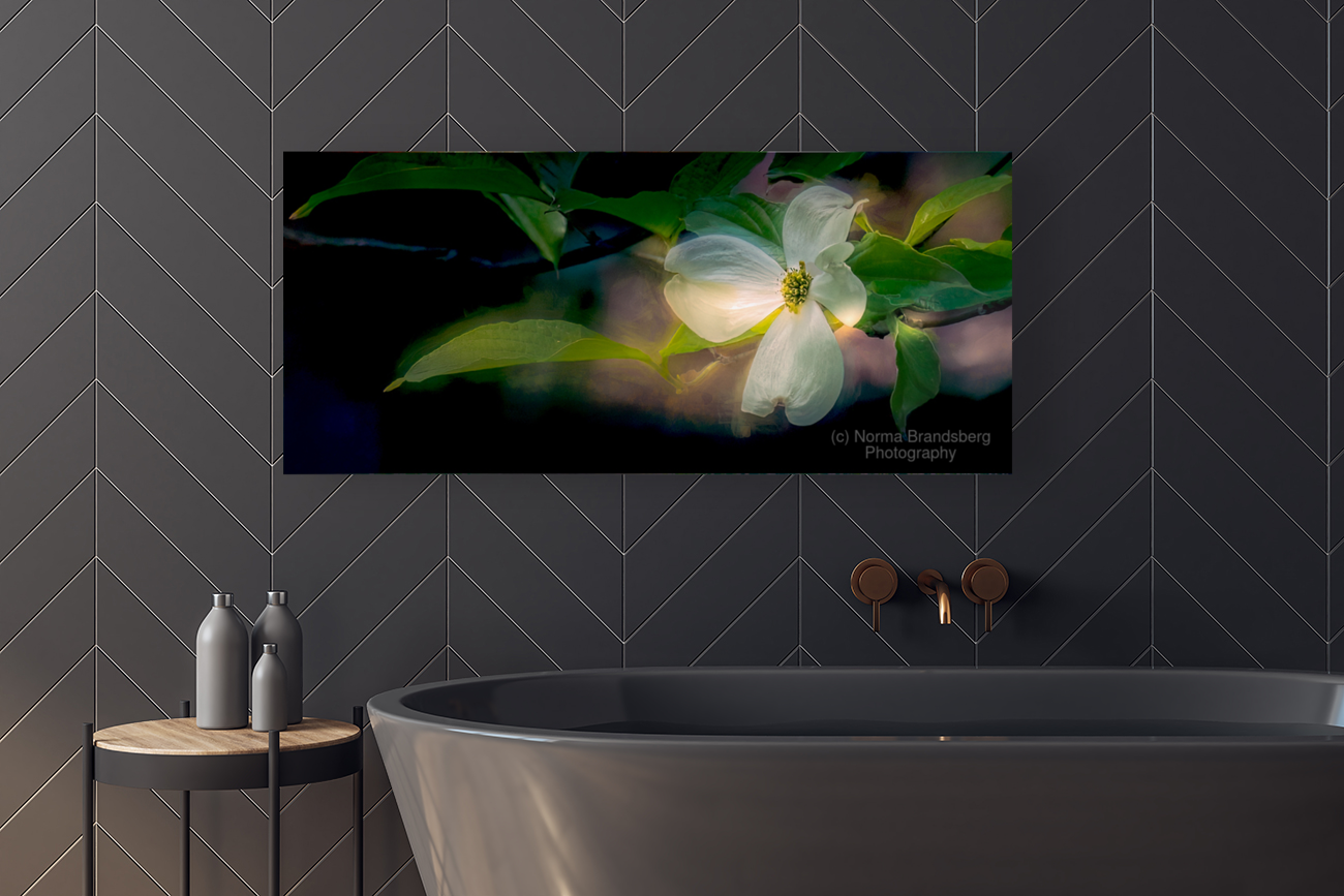 Dogwood Perfection Art