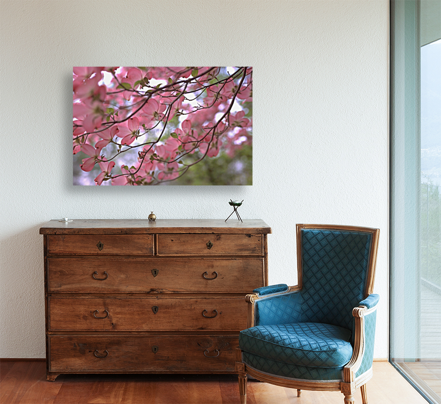 Pink Dogwoods Art