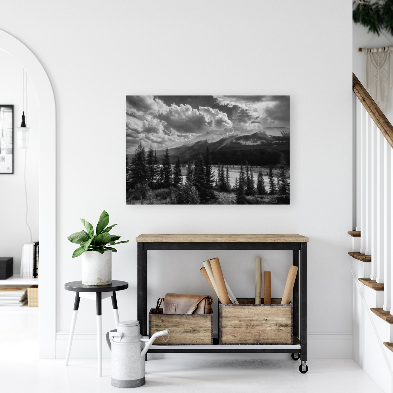 Icefield Parkway Sunset in Black and White Art