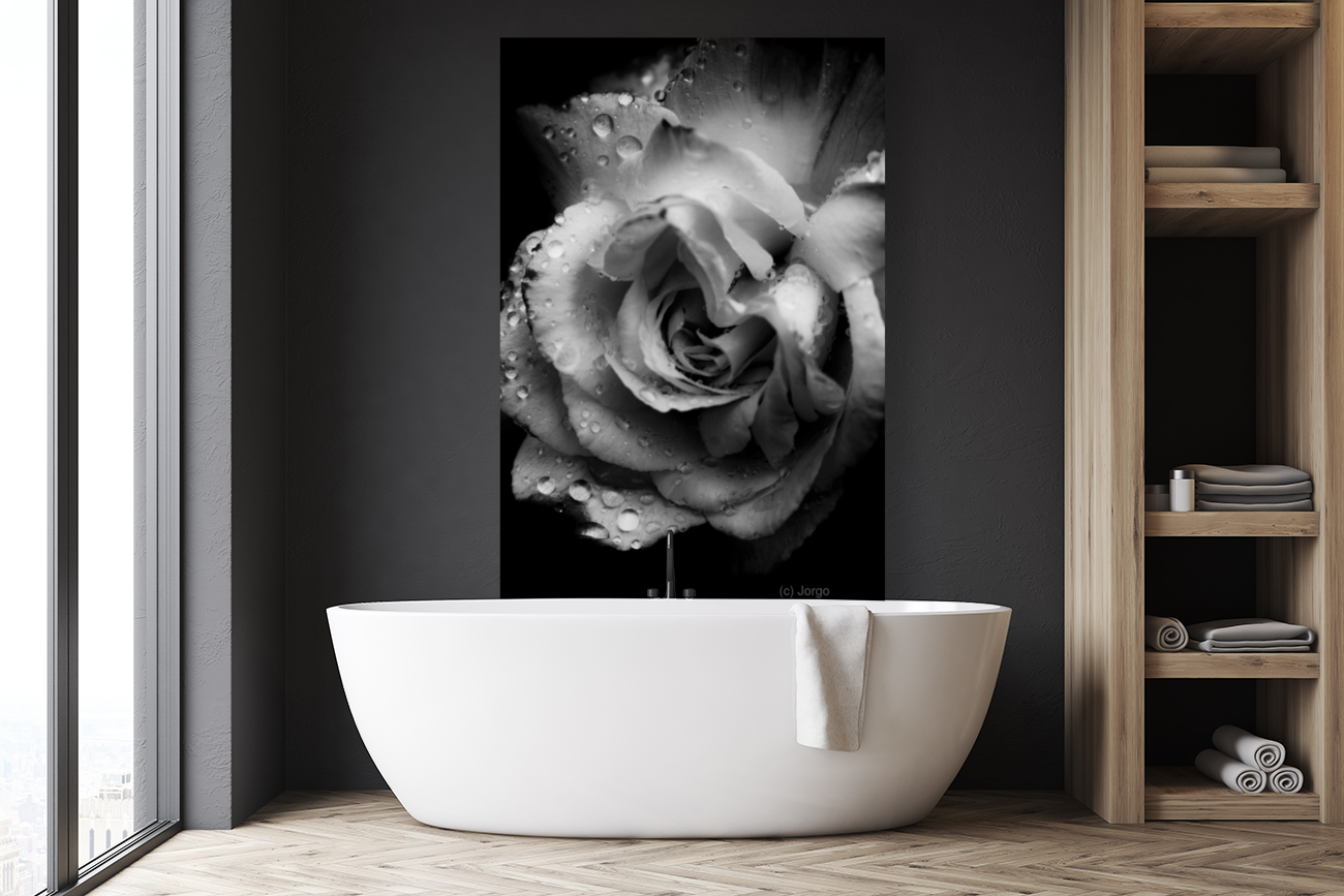 Rose n rain Art