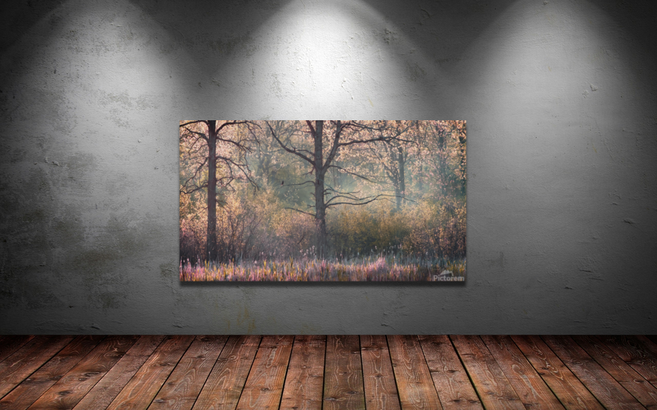 Cest le printemps    |   Spring is Here  Art