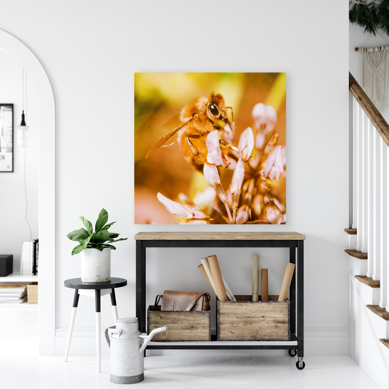 Clover field Art