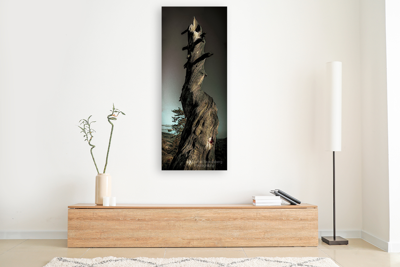 Abstract Heavenly Tree Art