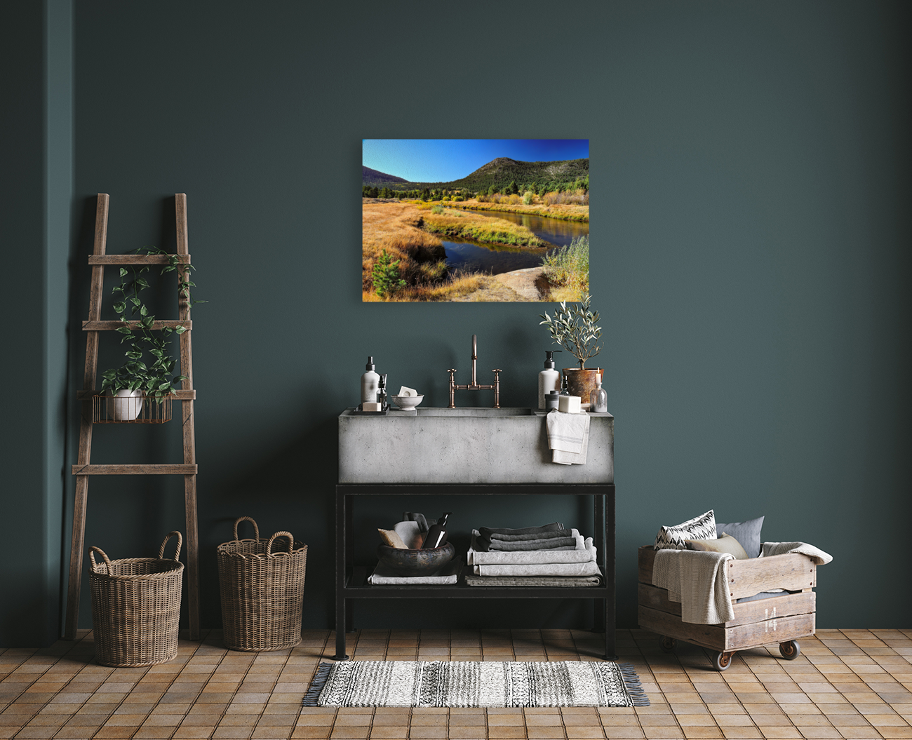 Lake Tahoe Desert Grass Marsh Art