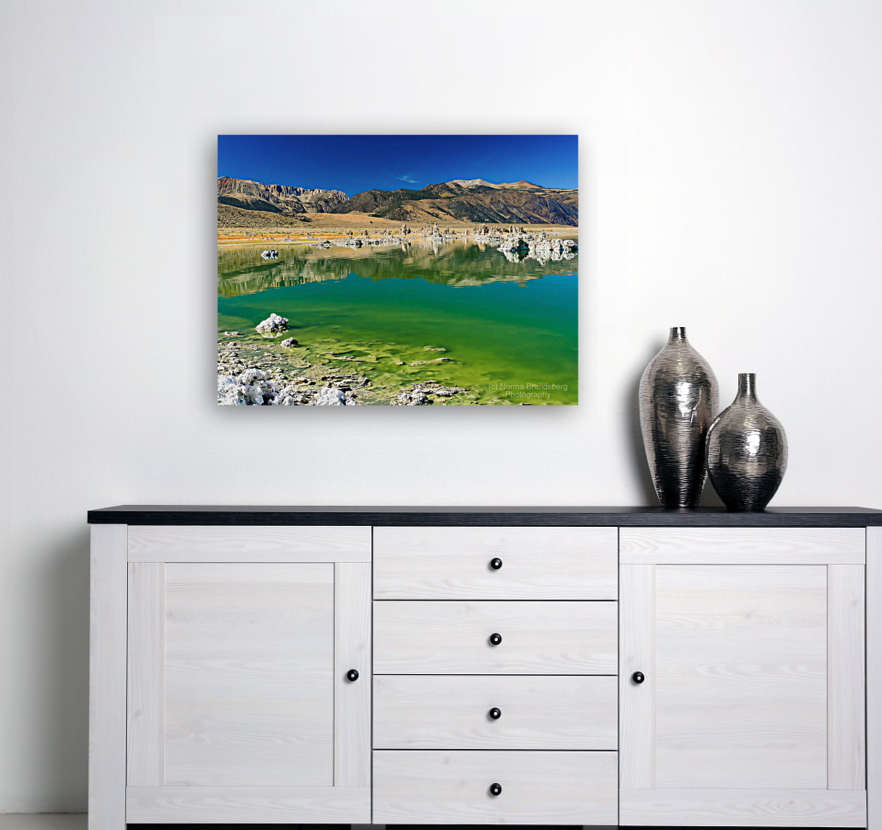 Mono Lake Tufa Statues Art