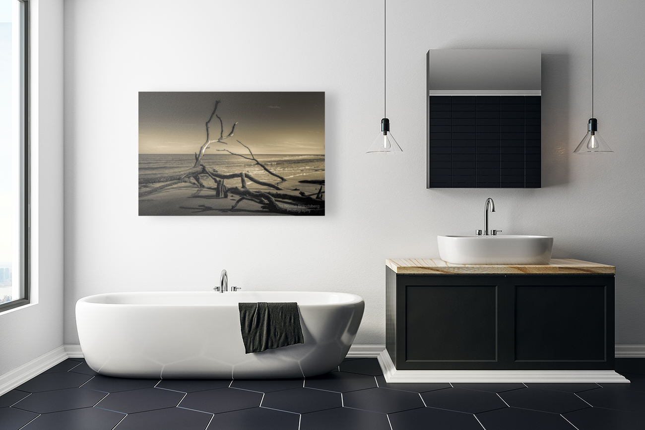 Hunting Island Beach Driftwood Shadows Art