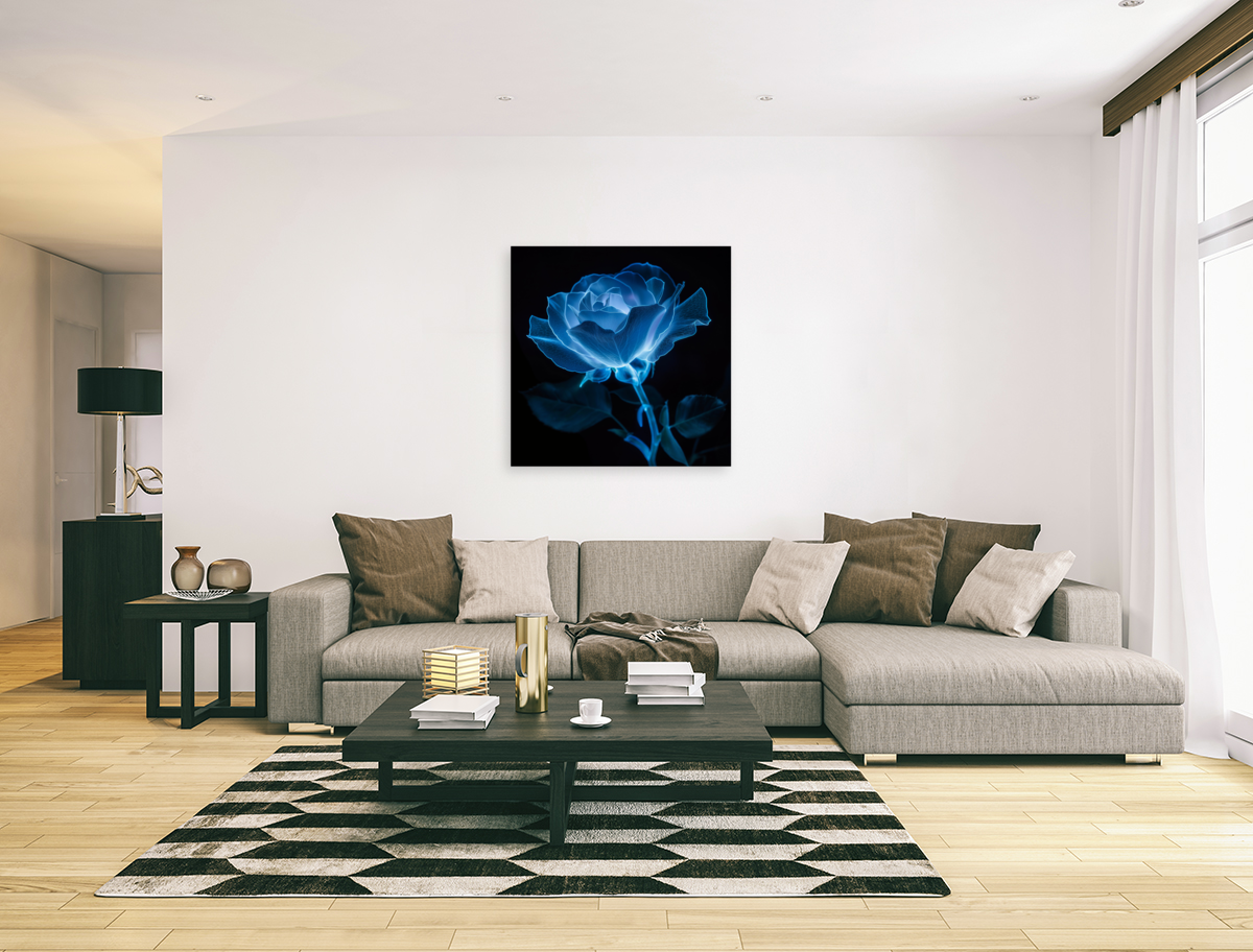 Blue Bioluminescent Rose Black Background Art