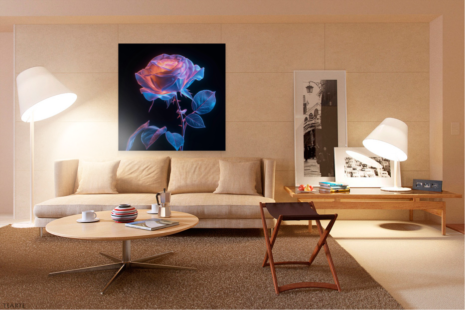 Dual Bloom Abstract Minimal  Floral  Botanical Digital Artwork Art