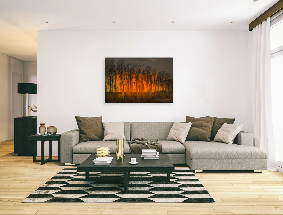 Georgia Forest Orange Sunset Silhouettes Art