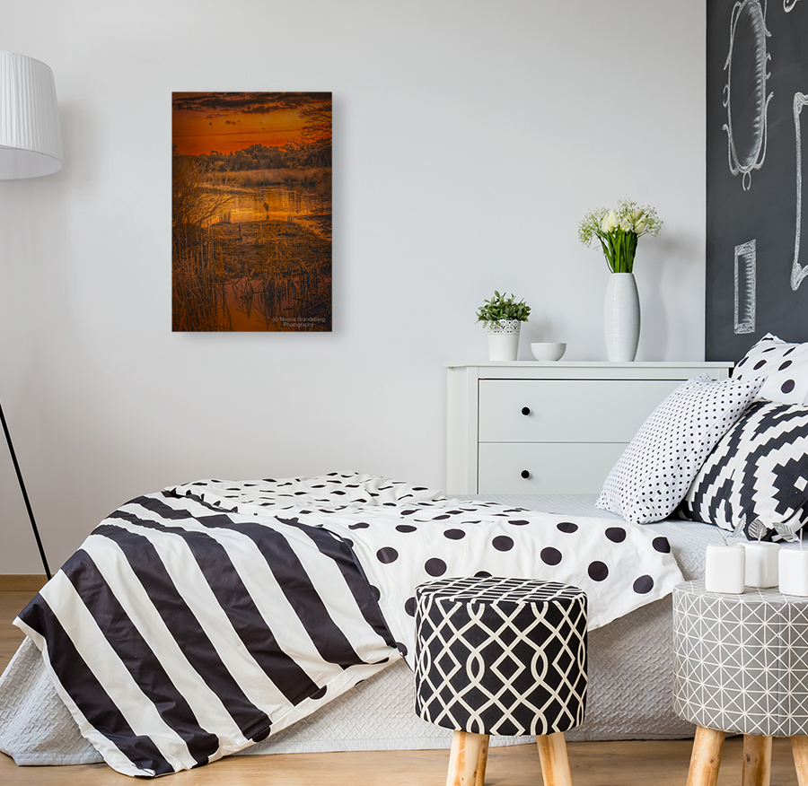 South Carolina Marsh Winter Sunrise Glow Art