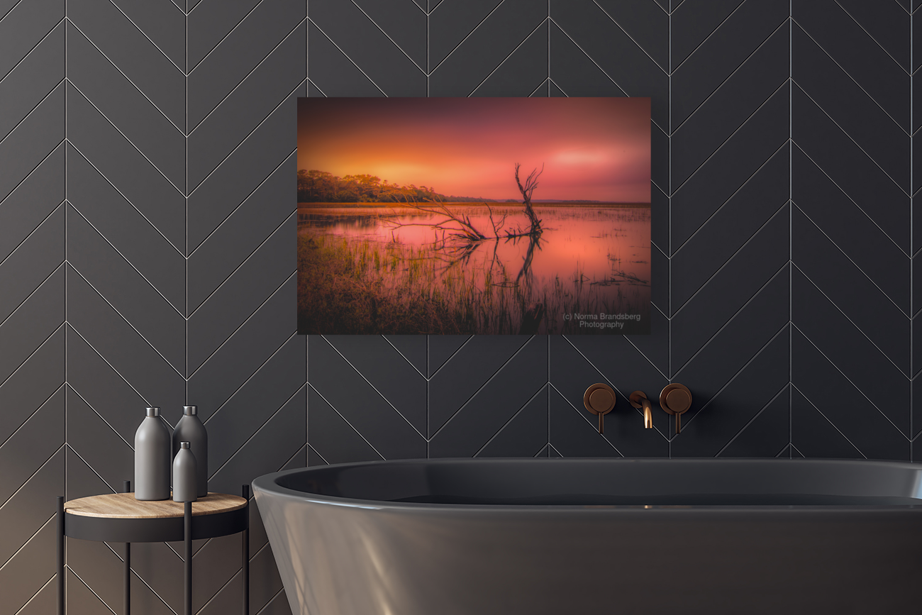 Edisto Island Marsh Daybreak Art