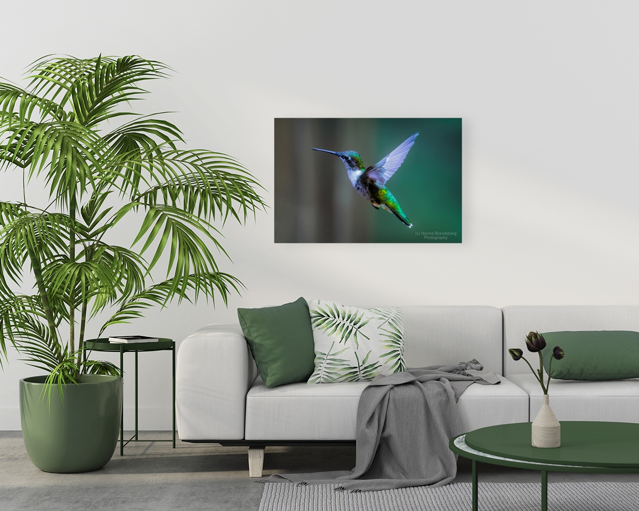 Female Ruby Throated Hummingbird Art