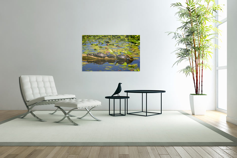 Turtle Row Spa Line Up Art