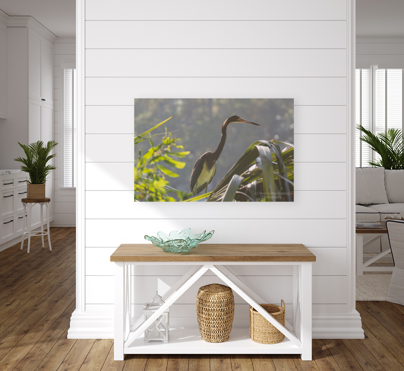 Tri Colored Heron with Backlighting Art