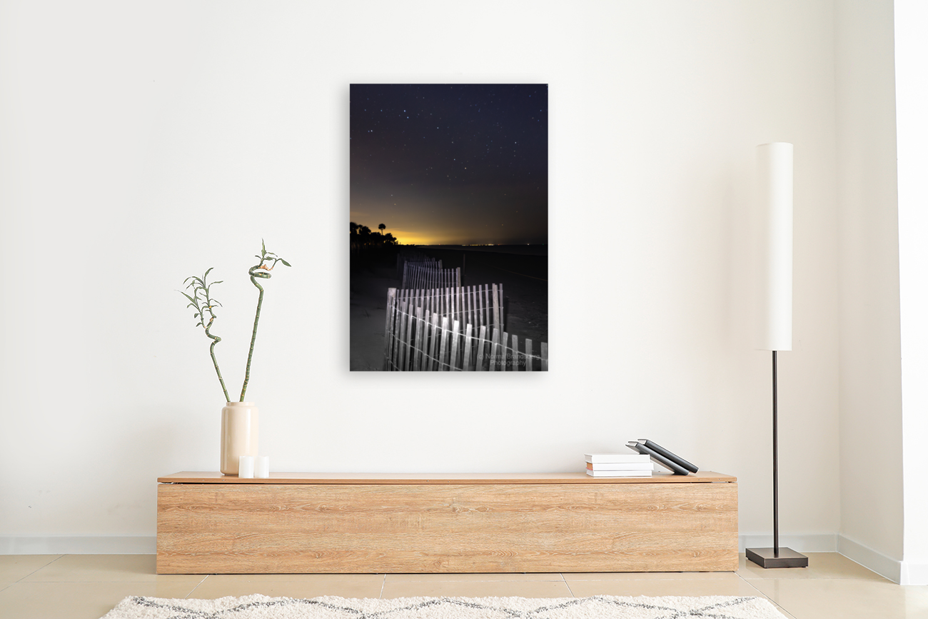 Edisto Island Beach Meandering Fence Art