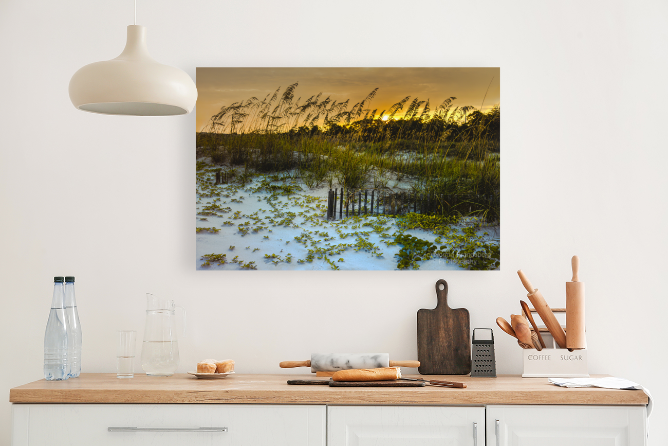 Autumn Sunset Dunes in Hilton Head Art