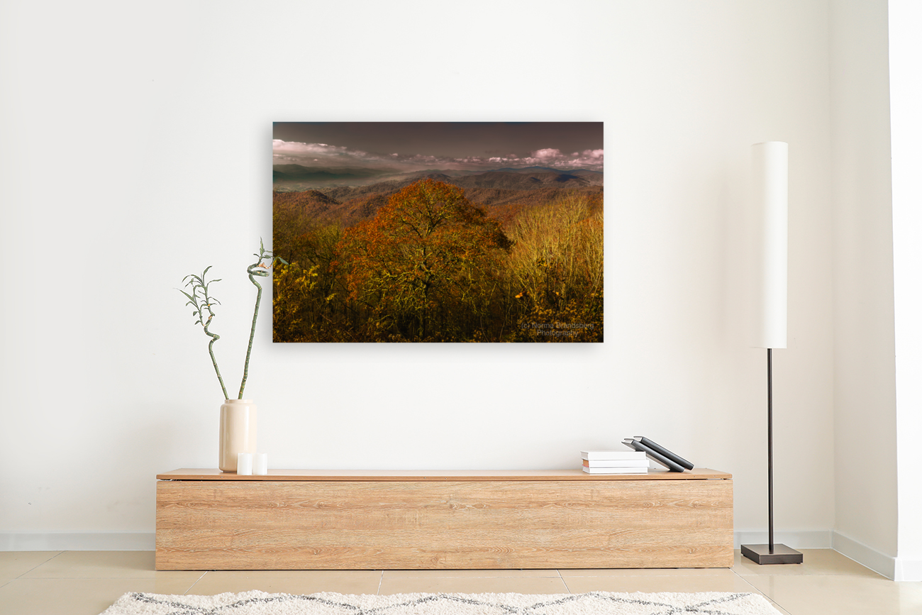 Smoky Mountains Autumn Overlook Art