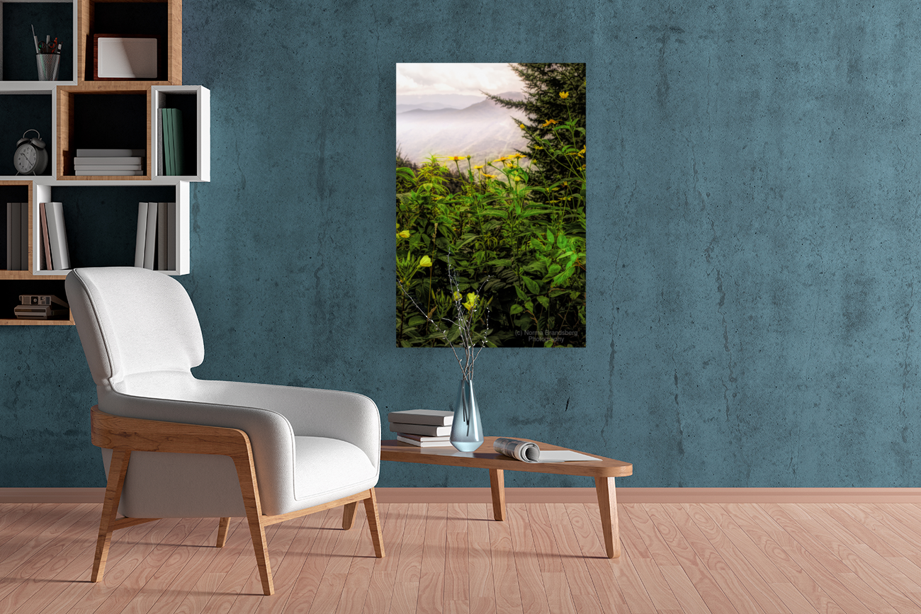 Smoky Mountains Summer Wildflowers Art