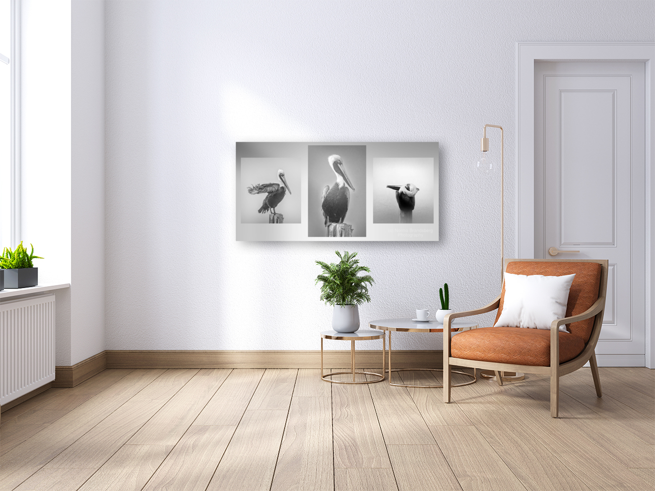 Three Pelicans Triptych in Black and White Art