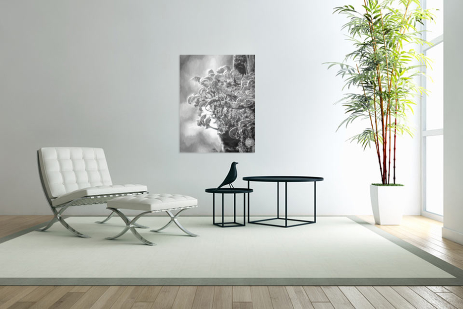 Resurrection Tree Fern Art