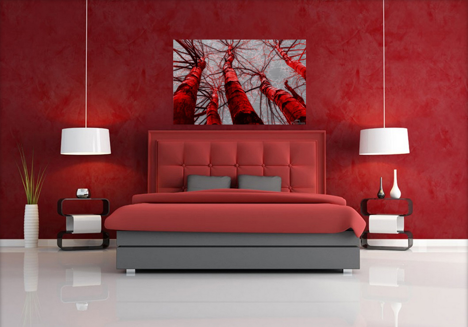 Playing with colour 1 Art