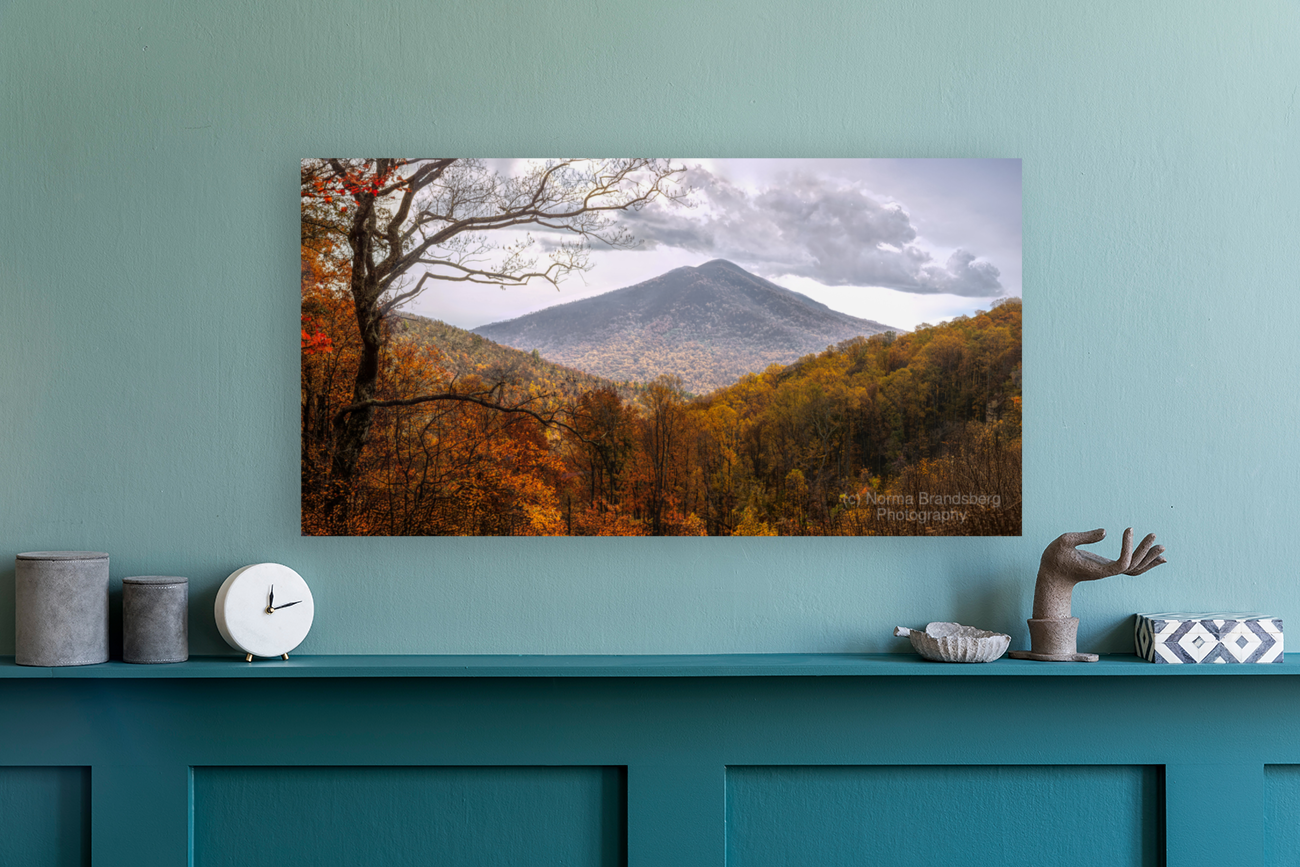 Golden Colors of Autumn Art