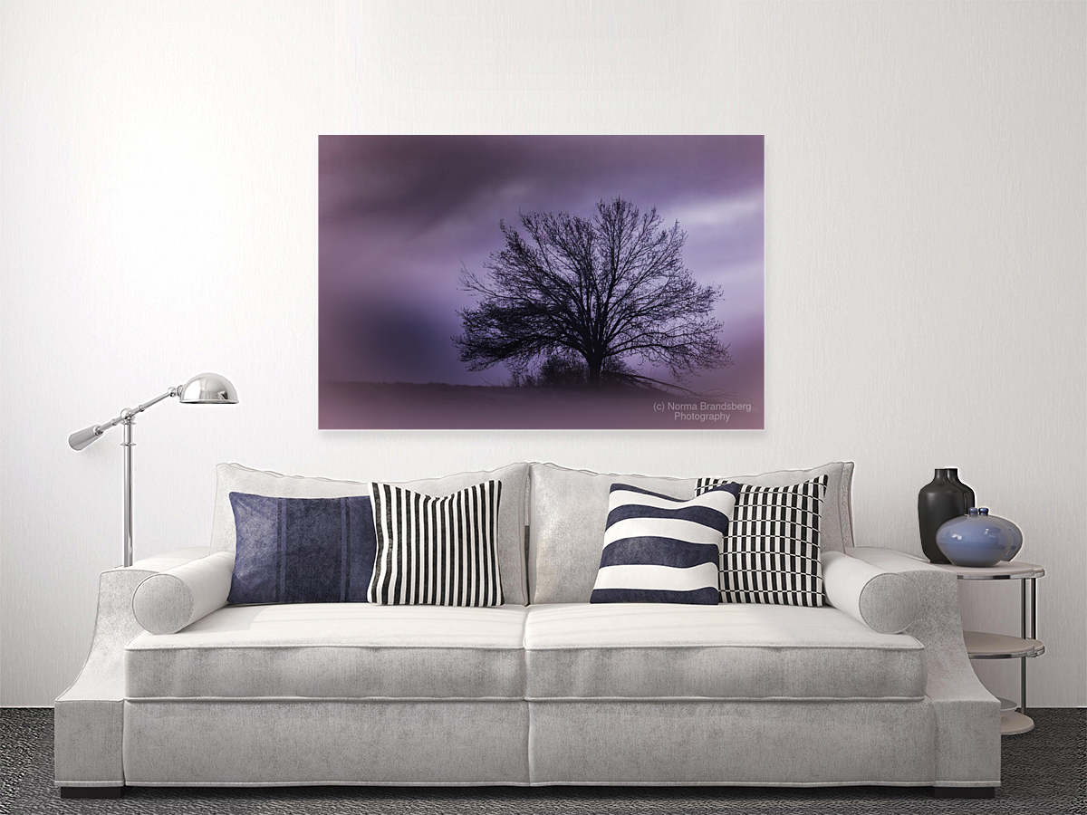  Moonlight  Hilltop Tree Perfection Art
