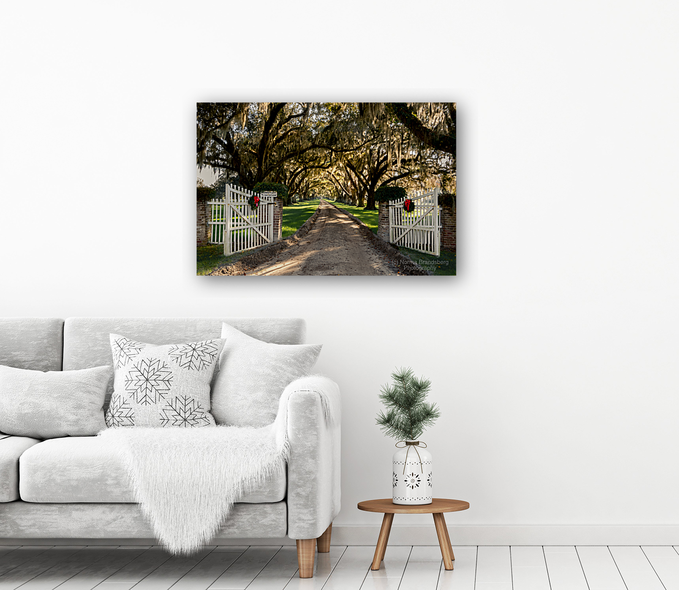 Tomotley   Plantation Christmas  Art