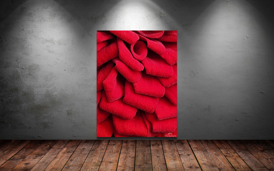 Red Velvet Art