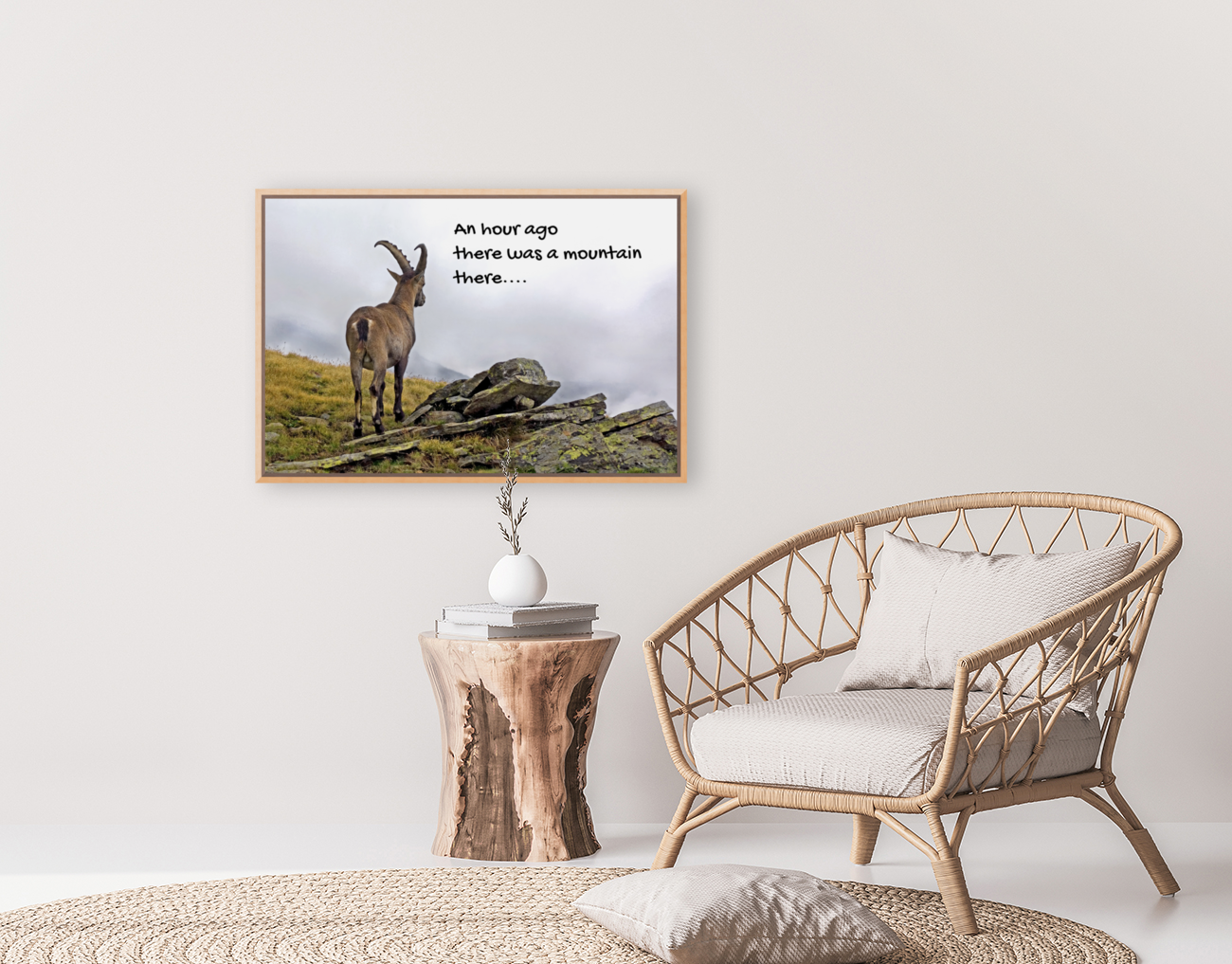 DISORIENTED IBEX Art