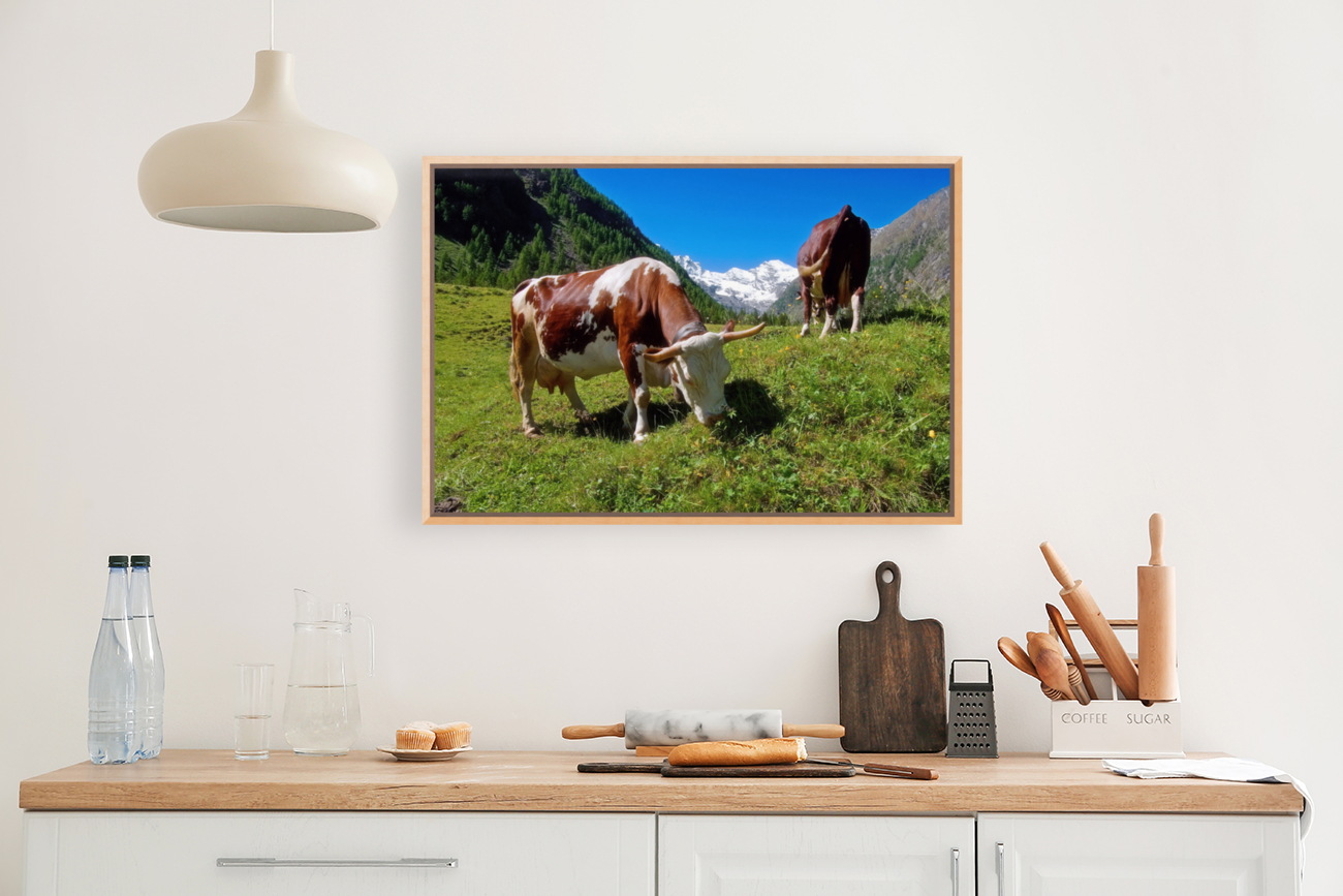 GRAZING COWS Art