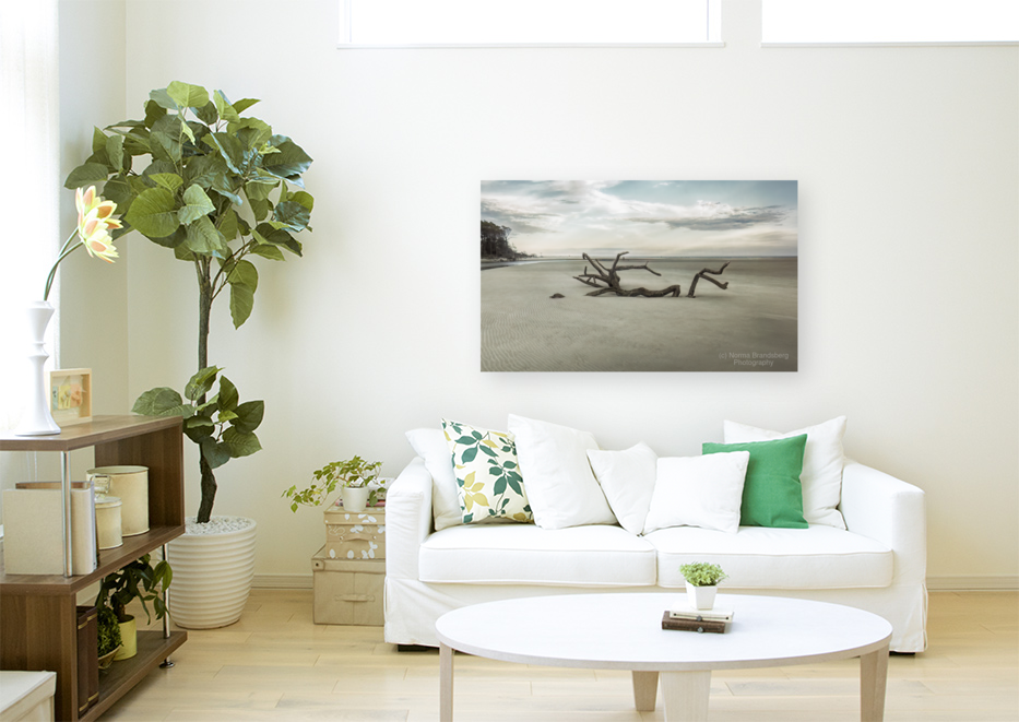 Beach Tree Relics Art