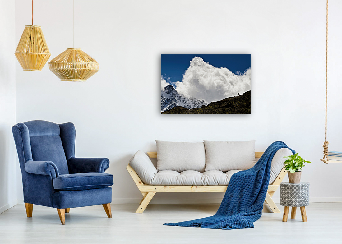 THE BORDER GUARD Art
