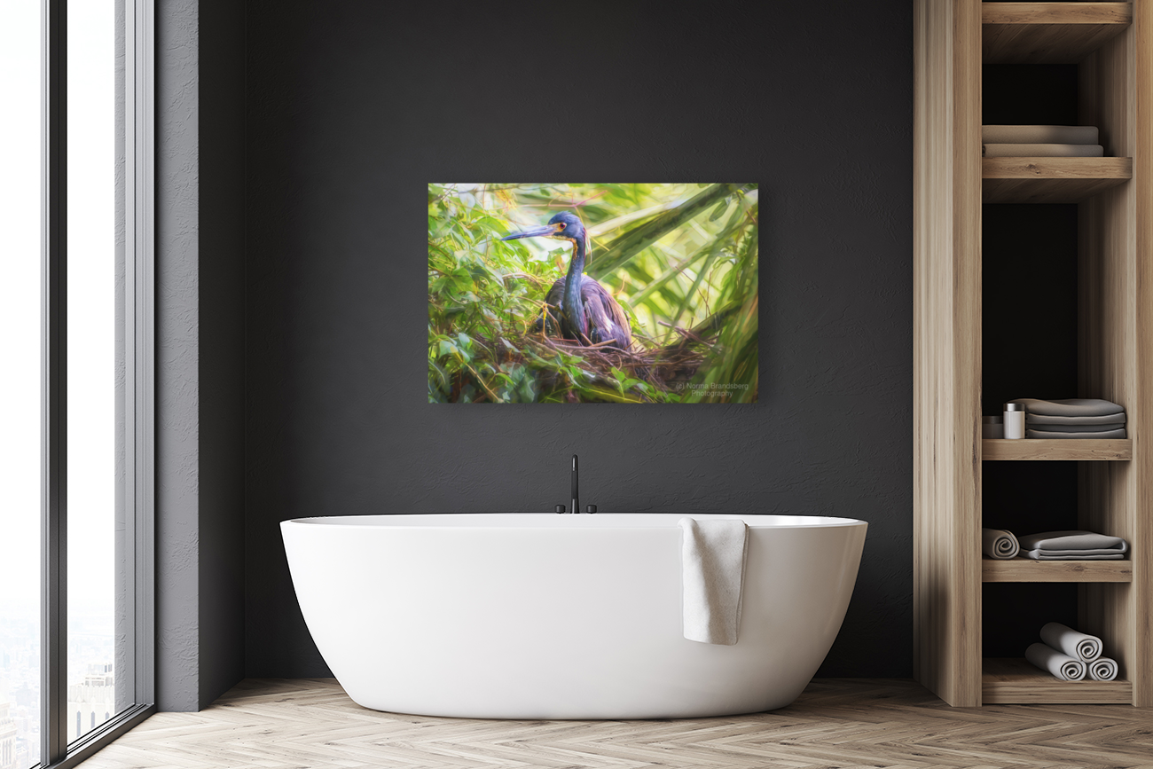 Tri-colored Heron Nesting in Dense Foliage Art
