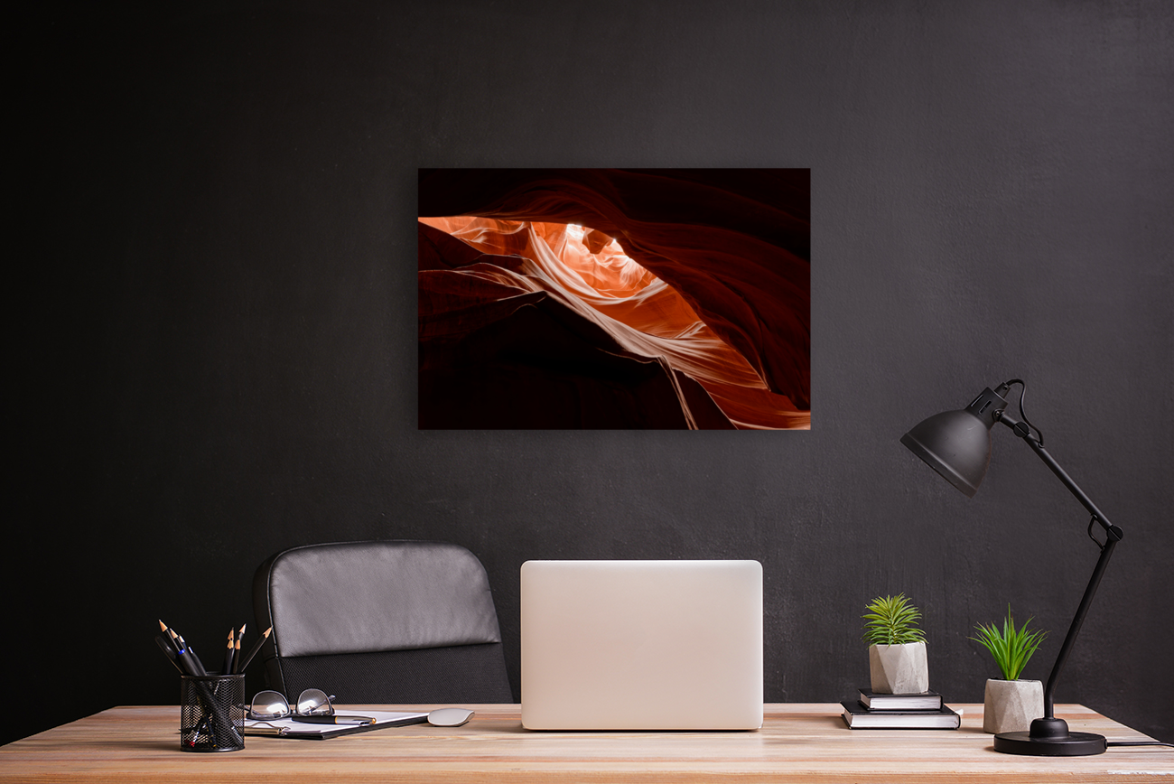 Predators Eye Art