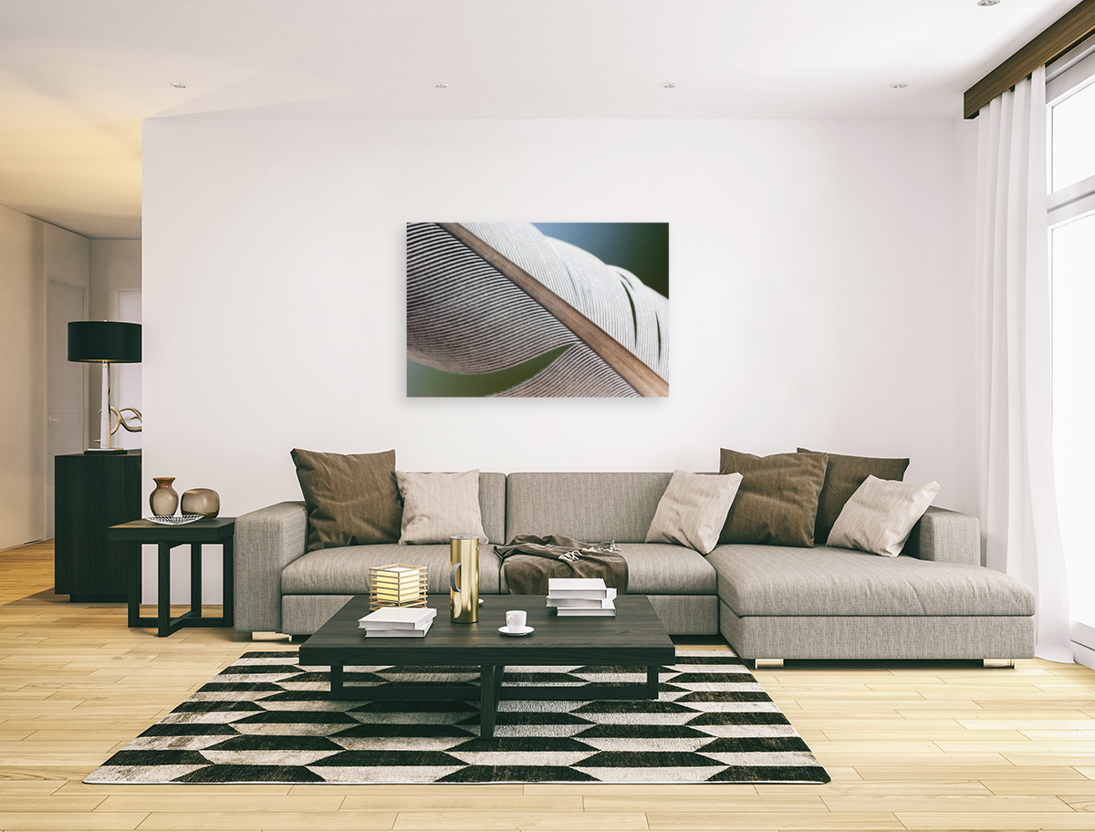 BUILT TO FLY Art