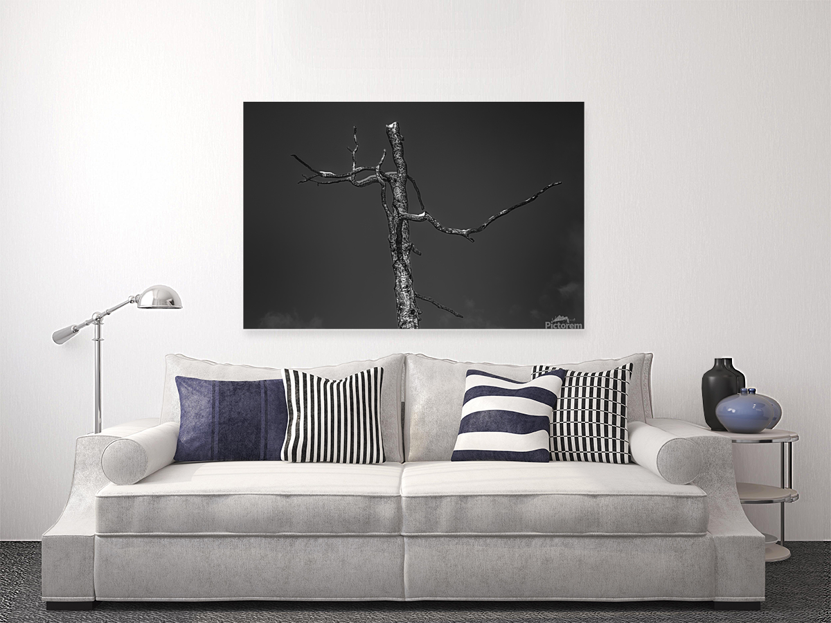 Charred   BW17001 Art