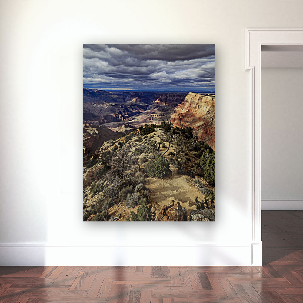 Lush Canyon Perspective Art
