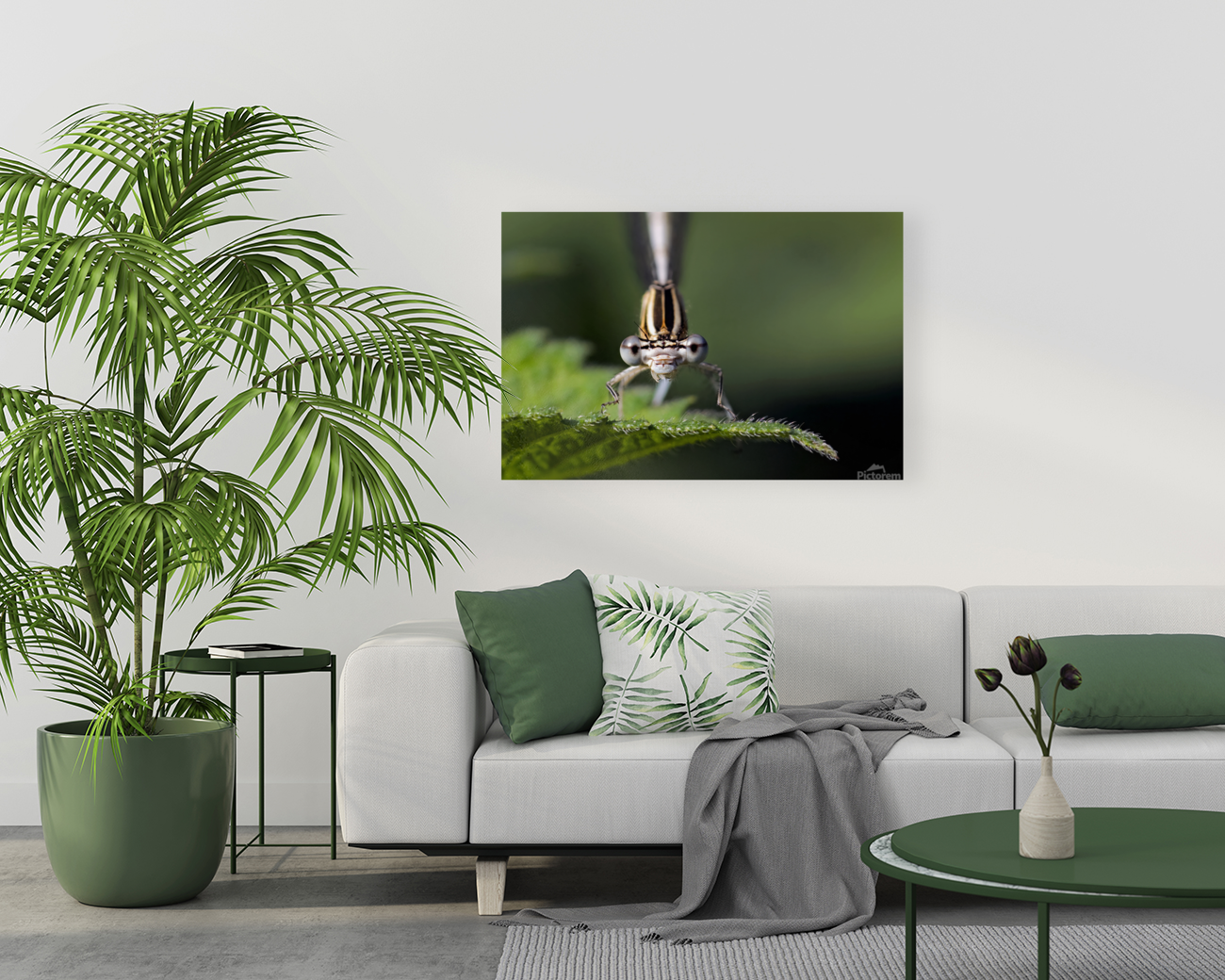 AN ALIEN GAZE Art