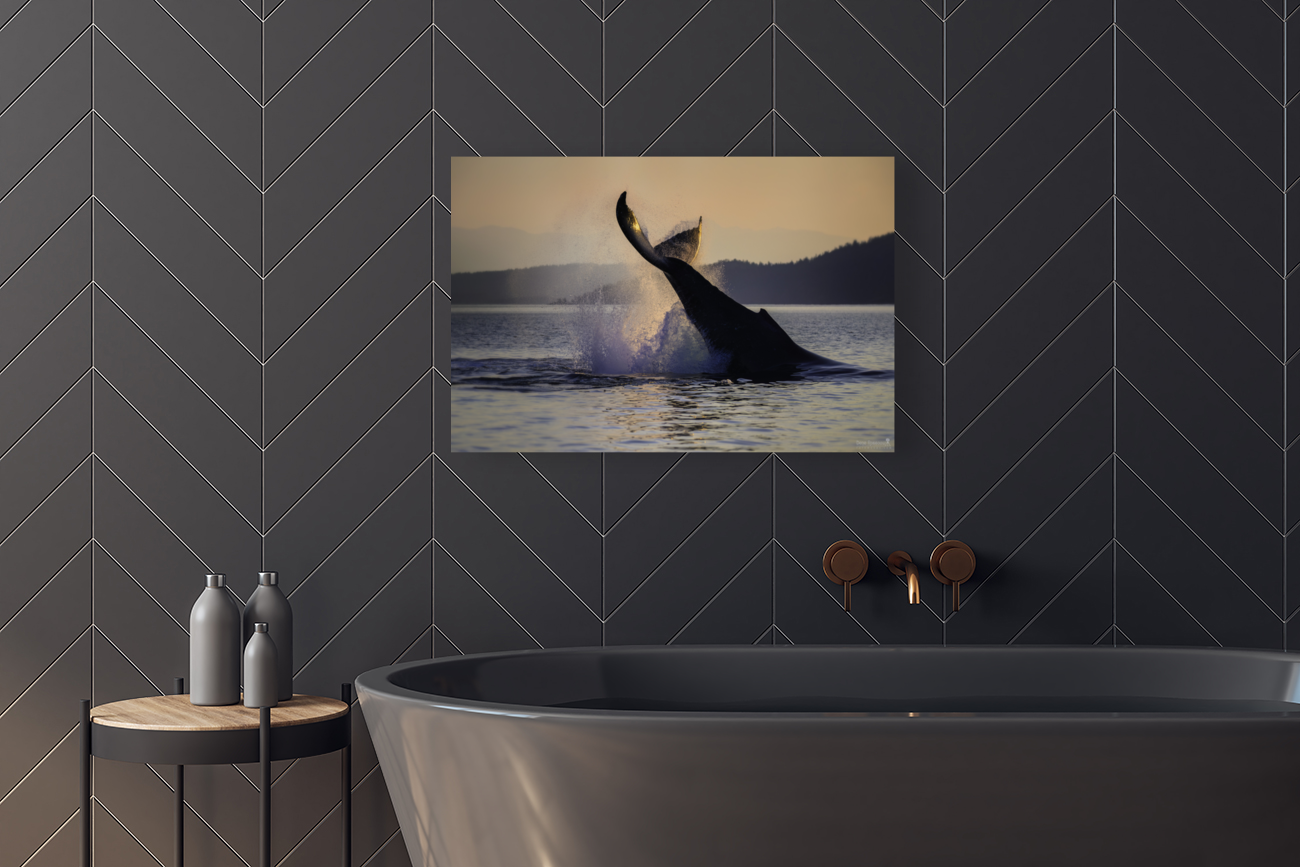 ~HUMPBACK WHALE~ Art
