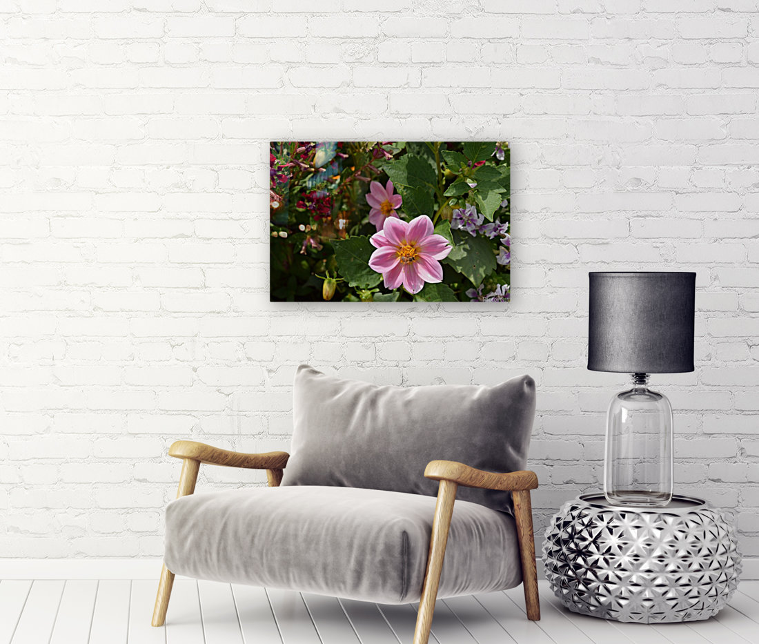 Rosa Blume Art